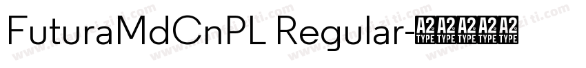 FuturaMdCnPL Regular字体转换